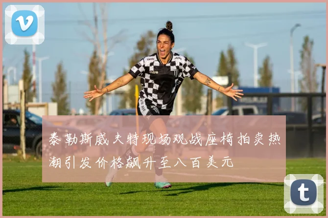 泰勒斯威夫特现场观战座椅拍卖热潮引发价格飙升至八百美元